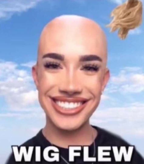 Charles Meme, Funny Wigs, Funny Pix, Crazy Funny Pictures, Goofy Pictures, Snapchat Funny, James Charles, Very Funny Pictures, Extremely Funny Jokes