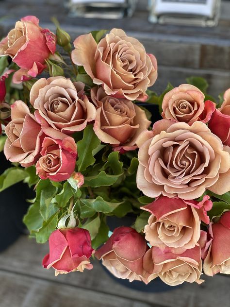 Koko Loko Rose, Bare Root Roses, Roses For Wedding, Rooting Roses, Long Vases, Floribunda Rose, Long Vase, Dahlia Tubers, Coming Up Roses