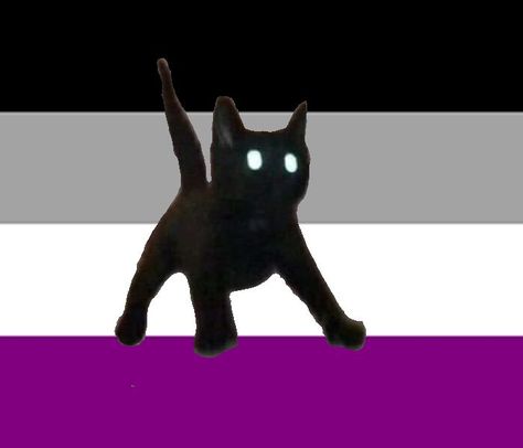 Asexual Pfp, Asexual Humor, Asexual Aromantic, Aro Ace, Ace Pride, A Profile Picture, Pride Stuff, Asexual Pride, Cat Pfp