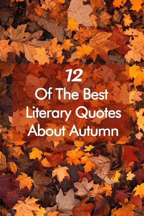 Sweater weather, pumpkins, and the books of fall… It’s no wonder bibliophiles love autumn. To celebrate the season when the leaves fall from the trees, here are 12 of the best literary quotes about autumn. #QuotesaboutAutumn #QuotesAboutFall #Autumn #Fall #Quotestoliveby Autumn Literature Quotes, Fall Begins Quotes, Fall Literary Quotes, Autumn Poems Quote, Poems About Fall Autumn, Autumn Book Quotes, Autumn Words Aesthetic, Fall Garden Quotes, Autumn Season Quotes