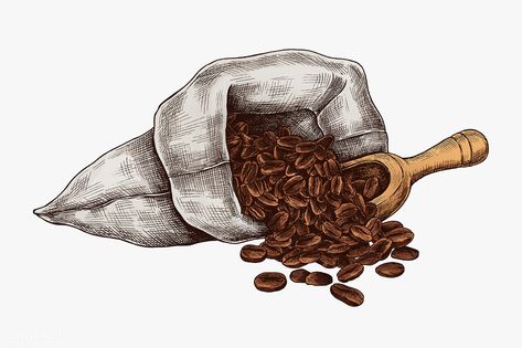 Hand drawn coffee beans in a bag | premium image by rawpixel.com / sasi Carrot Drawing, Hand Drawn Fox, Pineapple Vector, Coffee Doodle, Cocktails Vector, Coffee Bean Bags, Feather Vector, Pumpkin Vector, Coffee Shop Logo