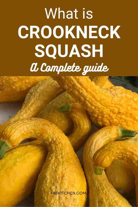 A Pinterest pin showcasing crookneck squash with clear and simple text. The guide highlights nutrition facts, benefits, and tips for buying and storing. Perfect for those keen to explore new veggies and boost their healthy eating game. #CrookneckSquash #HealthyEating #VeggieGuide How To Cook Crookneck Squash, Yellow Bumpy Crookneck Squash Recipes, Yellow Crooked Neck Squash Recipes, Crook Neck Squash Recipe, Yellow Crookneck Squash Recipes, Crooked Neck Squash Recipes, Different Squash Types, Crooked Neck Squash, Crookneck Squash Recipes