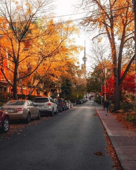 Fall in Toronto Downtown Halifax, Toronto Ontario Canada, Fall Mood, Autumn Scenery, Fall Feels, Autumn Beauty, Best Seasons, Cozy Autumn, Fall Pictures