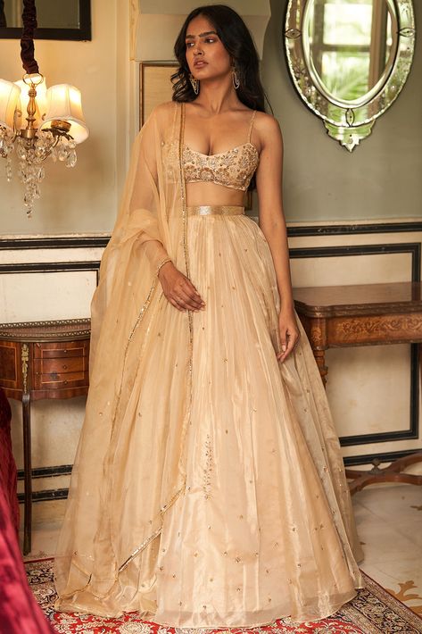 Lehenga And Blouse, Gold Organza, Gold Lehenga, Simple Lehenga, Organza Embroidery, Indian Outfits Lehenga, Organza Lehenga, Gaun Fashion, Traditional Indian Outfits