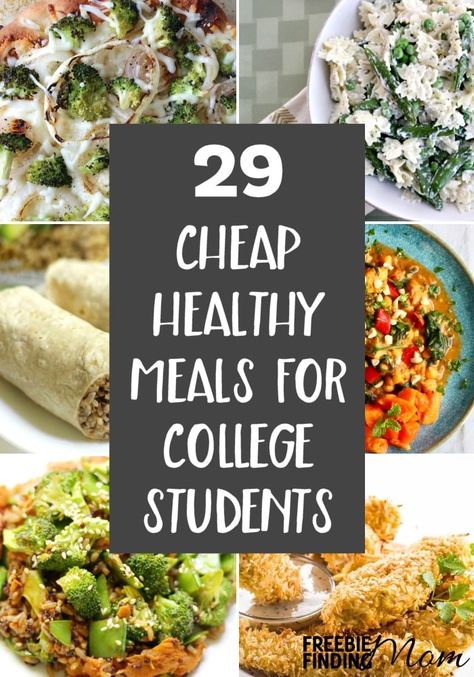 29 Cheap Healthy Meals For College Students Healthy Meals For College Students, Meals For College Students, Healthy Vegetarian Meals, Healthy College Meals, Pioneer Recipes, College Meal, Budget Dinners, College Cooking, Healthy College