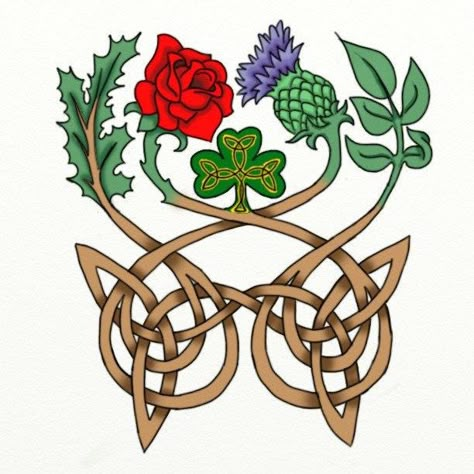 Thistle Rose Tattoo, Outlander Tattoos, Oklahoma Tattoo, Scottish Thistle Tattoo, Celtic Rose, Shamrock Tattoo, Scottish Tattoos, Thistle Tattoo, Shamrock Tattoos