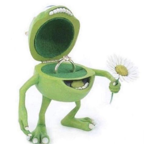 Mike Wazowski, Engagement Ring Box, Green Frog, Wedding Ring Box, Shrek, Funny Me, Reaction Pics, Ring Box, Reaction Pictures