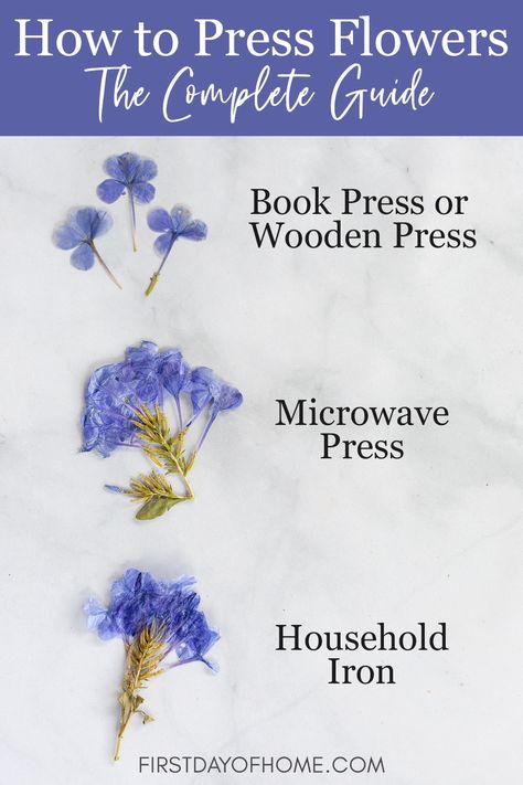 Get this beginner's guide to pressing flowers and see how each method compares. Learn the advantages and drawbacks of each type of flower pressing to decide which one is right for you. #pressedflower #pressedflowerart #flowerpress #flowercraft #firstdayofhome How To Press Flowers Quickly, Pressed Flower Bridal Bouquet, How Press Flowers, Diy Pressing Flowers, Drying And Pressing Flowers, How To Do Pressed Flowers, Best Way To Press Flowers, Pressed Flowers How To, How To Press Hydrangeas