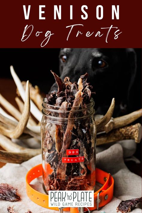 Venison Dog Treats Venison Dog Treats, Easy Ground Venison Recipes, Recipes For Venison, Venison Steaks, Ground Venison Recipes, Venison Meat, Homesteading Family, Ground Venison, Make Dog Food