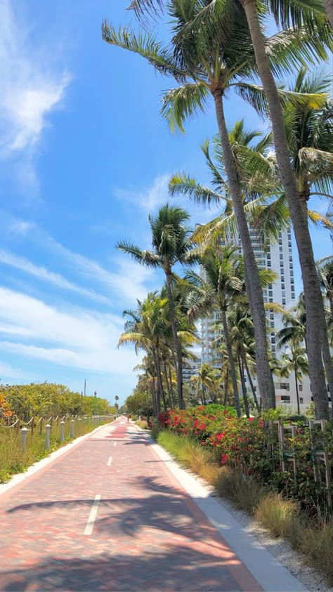 Miami Beach Boardwalk, Sri Lanka Surf, Beautiful Resorts, Tips For Happy Life, Fort Lauderdale Beach, Miami Life, Florida Life, Usa Trip, Florida Photography