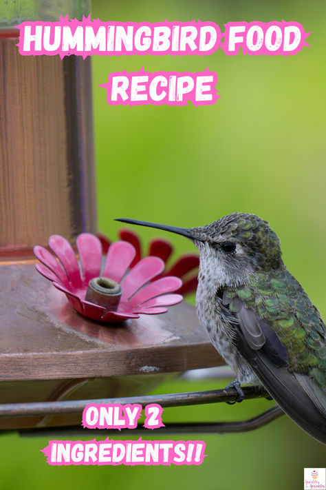 Are you ready to invite more hummingbirds into your garden? Making your own hummingbird feeder food is simple, cost-effective, and better for the birds. I’ll walk you through my easy Hummingbird Food recipe using just two ingredients you already have at home. How To Make Hummingbird Food, Hummingbird Feeder Food, Hummingbird Feeder Recipe, Hummingbird Food Recipe, Make Hummingbird Food, Hummingbird Food, Refreshing Snacks, Hummingbird Feeder, Summer Cookouts