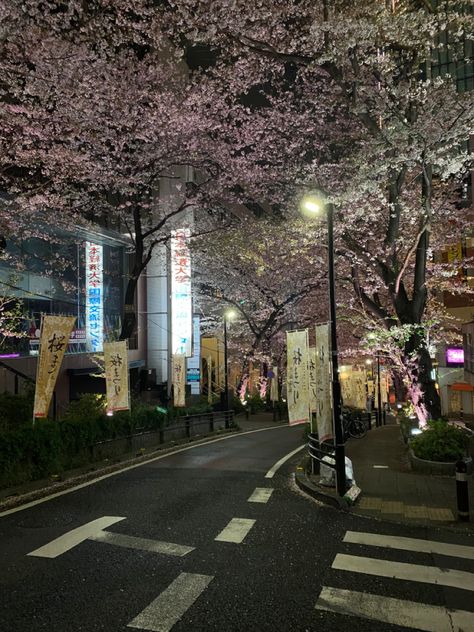 Oboreru Knife, Tokyo At Night, City Core, Sakura Season, Summer In Japan, Tokyo Aesthetic, Japan Vibes, Tokyo Streets, Spring In Japan