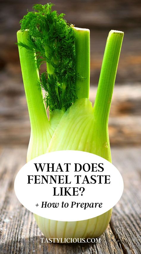 Ground Fennel Recipes, Fennel Puree Recipe, How To Cook Fennel Bulb, Fennel Recipes Sauteed, Beer Braised Fennel, Cooking With Fennel, Fennel Recipes Roasted, Fresh Fennel Recipes, How To Cook Fennel