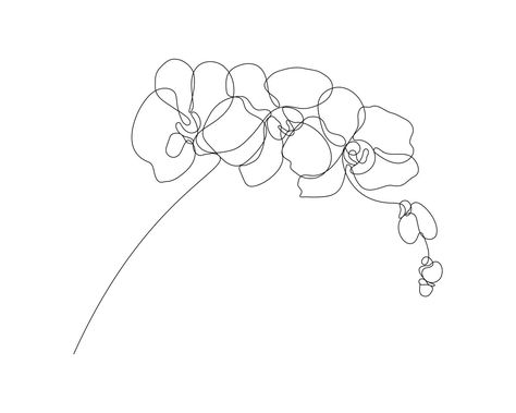 Orchid Small Tattoo, Orchid Outline Tattoo, Orchid Line Tattoo, Orchid Tattoo Linework, Simple Orchid Drawing, Line Art Orchid Tattoo, Line Orchid Tattoo, Orchid Tattoo Minimalist, Orchid Fine Line Tattoo