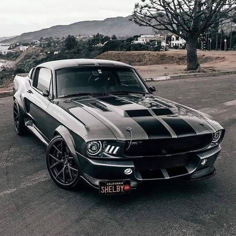 Anasayfa / Twitter | Mustang shelby, Muscle cars mustang, Shelby mustang gt500 Shelby Mustang Gt500, Mobil Mustang, Shelby Gt 500, Muscle Cars Mustang, مرسيدس بنز, Mustang Gt500, Shelby Mustang, Ford Mustang Shelby Gt500, Ford Mustang Fastback