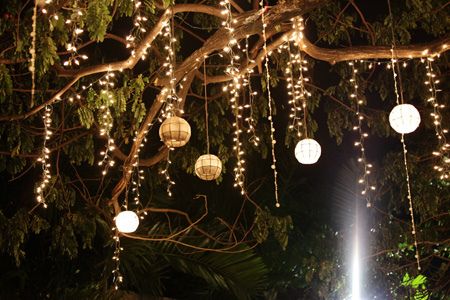 Capiz lanterns hanging on the tree. | Flickr - Photo Sharing! Diy Hanging Light, Hanging Candle Lanterns, Icicle Christmas Lights, Tree Lanterns, Diy Christmas Lights, Outdoor Hanging Lanterns, Backyard Pergola, Outdoor Light Fixtures, Outdoor Christmas Lights