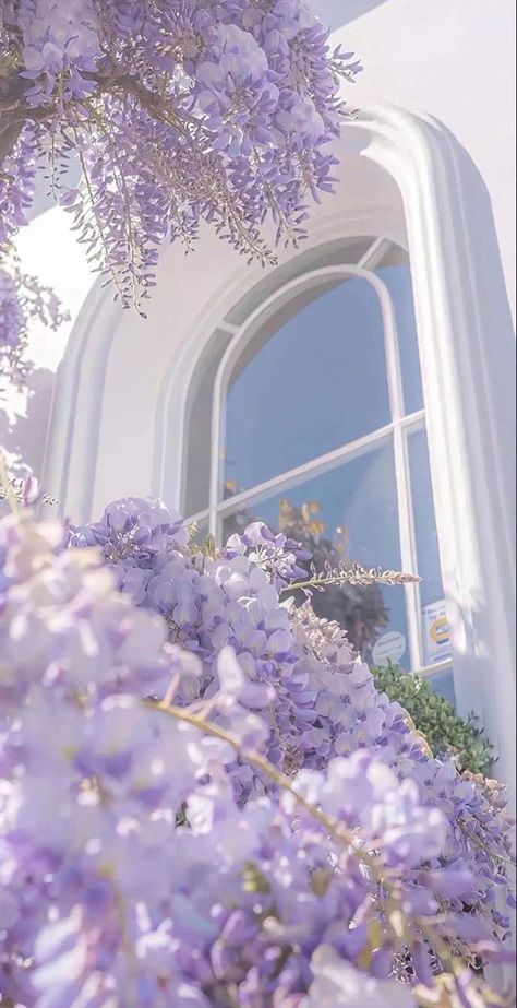 Fesyen Islam, Lavender Aesthetic, Nothing But Flowers, Pretty Landscapes, Spring Wallpaper, Spring Aesthetic, Pretty Wallpaper Iphone, Simple Wallpapers, Alam Yang Indah