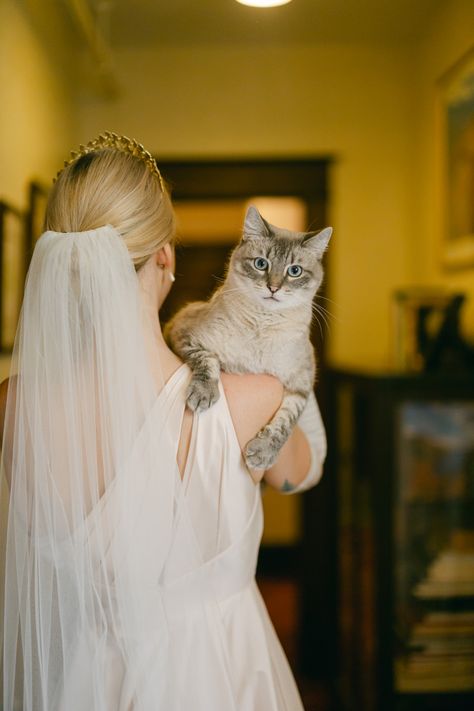 Funny Wedding Photo Ideas, Cat In Wedding Ideas, Pets Wedding, Wedding Cat Ideas, Cat In Wedding, Wedding With Cats, Cat At Wedding, Cat Wedding Ideas, Cat Wedding Pictures