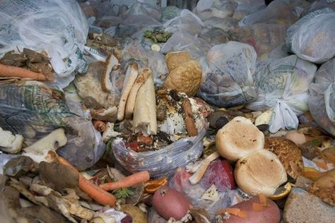 The new government should make recycling compulsory under law as Britain’s increasingly full landfill sites reach crisis point, according to one waste management business. Food Waste Management, Prevent Food Waste, Waste Reduction, Waste Collection, Household Waste, Edible Food, Leftovers Recipes, Reduce Food Waste, Food Source