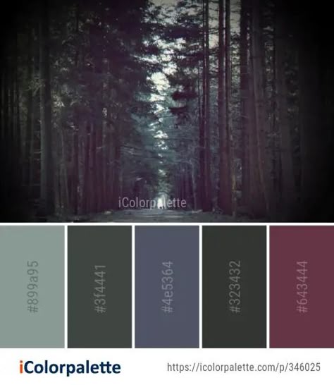 Color Palette Ideas from Vegetation Forest Ecosystem Image | iColorpalette Forest Colour Scheme, Magical Forest Color Palette, Dark Forest Color Palette, Enchanted Forest Color Palette, Forest Colour Palette, Forest Color Scheme, Forest Green Color Palette, Forest Color Palette, Kitchen Color Palette