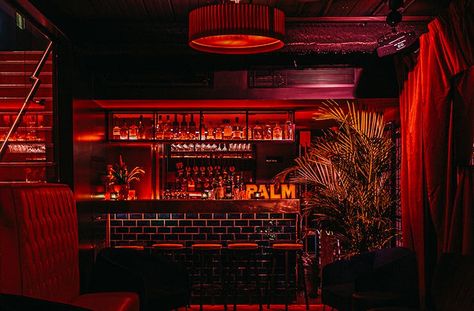 Lounge Bar Ideas, Bar Entrance, Hidden Bars, Underground Bar, Bedroom Workspace, Whiskey Room, Secret Bar, Speakeasy Bar, Pub Sheds