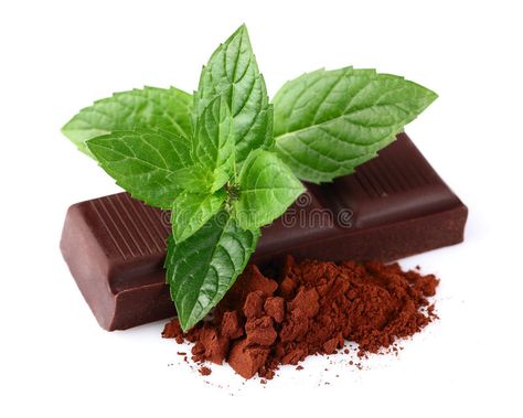 Chocolate with mint. And heap of cacao #Sponsored , #PAID, #affiliate, #Chocolate, #heap, #cacao, #mint After Eight Chocolate, Mint Chocolate Recipes, Apothecary Recipes, Chocolate Body Scrub, Mint And Chocolate, Protein Products, Caffeine In Tea, Garden Herbs, Skin Care Diy