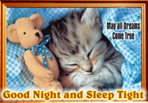 Good Night Cats, Good Night Cute, Cute Good Night Images, Good Night Photo, Cute Cat Quotes, Good Night Pictures, Morning Hugs, Good Night Cards, Good Night Cat