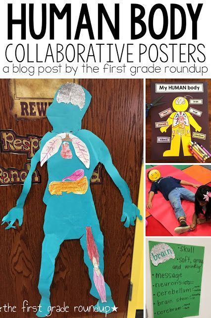 Learning about the human body is always more fun in the floor!  Read about our collaborative human body posters we made in first grade! 1st Grade Body Science, Ckla Human Body Second Grade, Human Body Activities For 1st Grade, Human Body 2nd Grade, Human Body First Grade, Human Body Room Transformation, Human Body 1st Grade, Ckla Amplify 1st Grade, Ckla Human Body First Grade