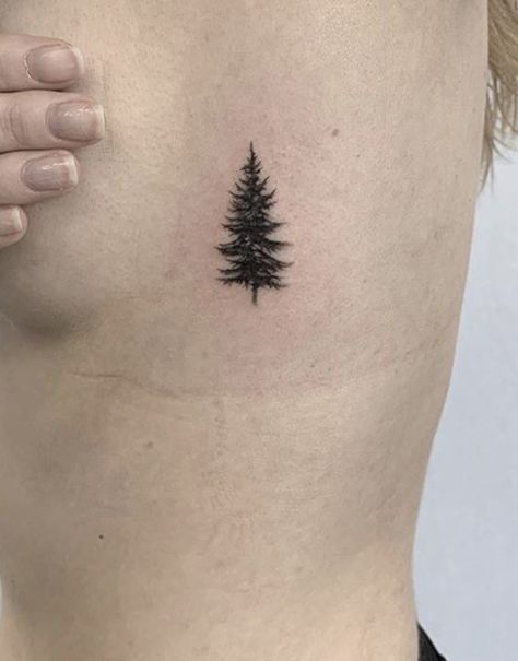 Fineline Pine Tree Tattoo, Mother Daughter Tattoos Nature, Western White Pine Tattoo, Small Forest Tattoos For Women, Blue Spruce Tattoo, White Pine Tattoo, Matching Nature Tattoos, Douglas Fir Tattoo, Spruce Tattoo