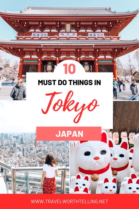 Top Things To Do In Tokyo, Tokyo City View, Robot Restaurant, Things To Do In Tokyo, Shibuya Crossing, Visit Tokyo, Japan Travel Tips, Tokyo City, Cherry Blossom Season