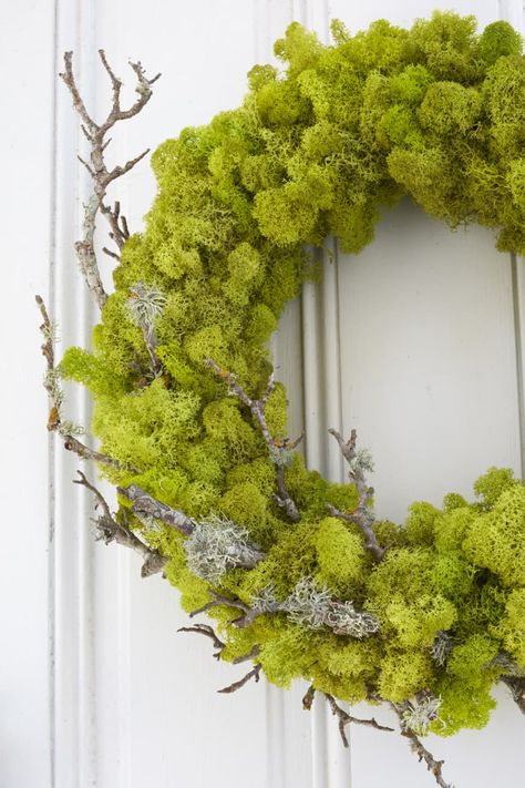 DIY Moss Wreath | Apartment Therapy Rustic Christmas Diy, Mos Wand, Moss Wreath Diy, Diy Moss, Living Wreath, Moss Wreath, Easter Spring Wreath, Diy Spring Wreath, Wreath Project