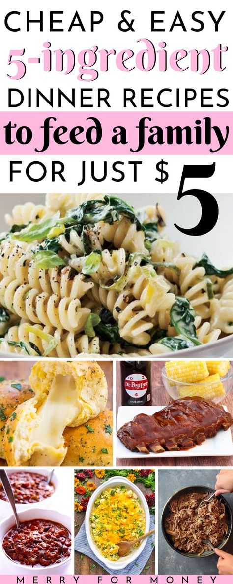 Love 5 dollar dinners? How about 5 ingredient dinner recipes for under $5? Simple, cheap, easy, budget friendly dinner meals to feed a big family. 25 simple meal ideas for you and your family if you don't have a big grocery shopping list. Only 5 ingredients for easy, simple meal planning ideas. -- cheap easy dinners for family, feed your whole family, keep your grocery budget low. cheap and easy meal ideas, crock pot dinners, casserole recipes, feeds 4, #budgetrecipes #cheapmeals #frugalliving 5 Dollar Dinners, Dollar Dinners, Easy Cheap Dinners, Budget Friendly Dinner, 5 Ingredient Dinners, Pot Dinners, Cheap Easy Meals, Grocery Budget, Easy Budget