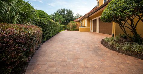 5 Tips to Prevent Weeds Growing Between Pavers in Your Patio or Driveway Driveway Posts, Diy Paver, Polymeric Sand, Pavers Diy, Sod Installation, Screen Enclosures, Paver Driveway, Patio Pavers, Landscape Maintenance