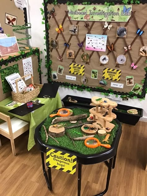 Bug Dramatic Play Preschool, Sustainability Preschool, Minibeast Classroom Display, Mini Beasts Activities, Insect Dramatic Play, Minibeast Display, Minibeasts Eyfs, Minibeasts Activities, Preschool Set Up