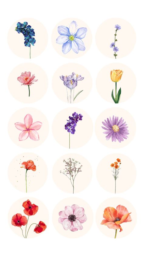 50 Instagram Flower Bouquet Highlight Covers | Botanical Highlight Covers, Boho Instagram Highlight Flowers Highlight Instagram, Flower Feed Instagram, Instagram Highlight Icons Flower, Flower Highlight Covers, Instagram Highlight Covers Flowers, Beauty Highlight Cover, Flower Instagram Highlight Covers, Cute Highlight Covers For Instagram, Floral Highlight Covers