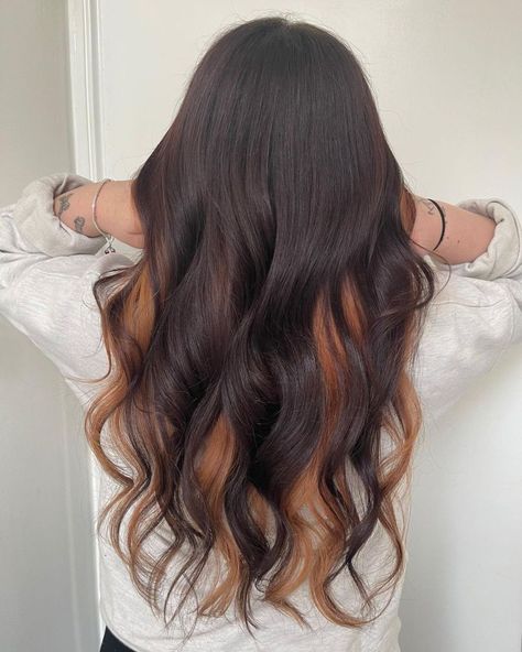 Brown and Toffee Peekaboo Hair Underdye Blonde, Peekaboo Hair Highlights, Peak A Boo Hair, Shape Haircut, Hair Highlights Ideas, Blonde Peekaboo Highlights, Underdye Hair, Blonde Underneath, Natural Dark Hair