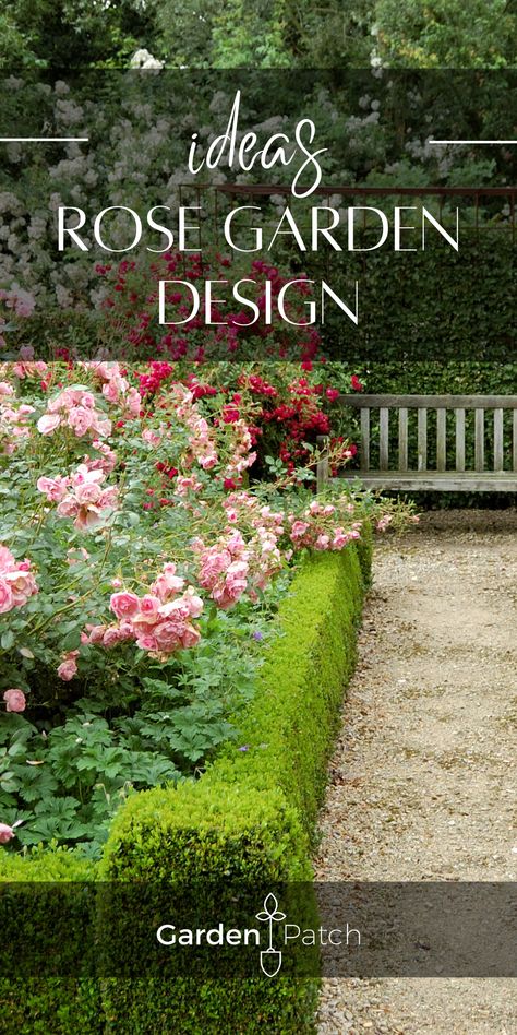 Landscape Roses Front Yards, Rose Garden Sitting Area, Modern Rose Garden Design, Rose Fence Ideas, Roses And Boxwood Front Yards, Roses In Garden Ideas, Roses In The Garden Landscapes, Roses And Lavender Garden Front Yards, Boxwood And Roses Landscaping