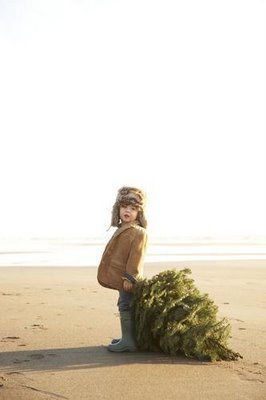 Christmas On Beach, Toddler Christmas Photo Ideas, Beach Christmas Card Photo, Christmas Beach Photos, Beach Christmas Pictures, Toddler Christmas Photos, Christmas Card Photo Ideas, Beach Christmas Card, Megan Ward