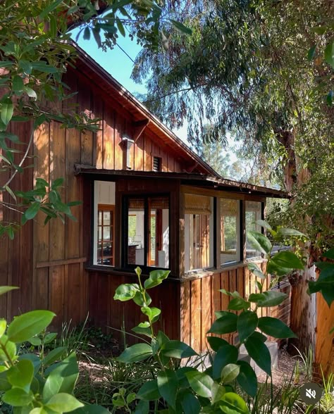 Small Wood Cabin Exterior, Redwood House, Swamp House, Wood Homes, Mid Century Cottage, Dream Cabin, Cabin House, Cabin Living, Tiny House Cabin