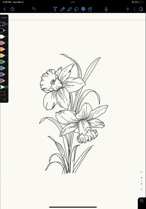 Bunch Of Daffodils Tattoo, Daphodil Drawing, Daffodil Outline Drawing, Daphodil Flower Drawing, 2 Daffodils Tattoo, Daffodil Bouquet Drawing, Daffodil Botanical Illustration, Tattoo Ideas Daffodil, Daffodil Tattoo Stencil