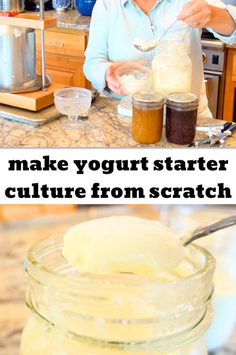 Homemade Yogurt Starter Culture, Homemade Yogurt Without Starter, Yogurt Culture How To Make, Yogurt Sourdough Starter, Homemade Yogurt Crockpot, Yogurt Starter Recipe, How To Make Your Own Yogurt, Make Yogurt Homemade, Making Yogurt Homemade