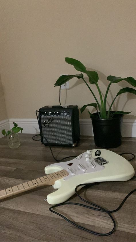 white stratocaster guitar with amp and plants Guitar Aesthetic Electric, Aesthetic Electric Guitar, White Stratocaster, White Electric Guitar, Guitar Aesthetic, White Guitar, Black And Blue Wallpaper, Guitar Fender, Electric Guitar Design