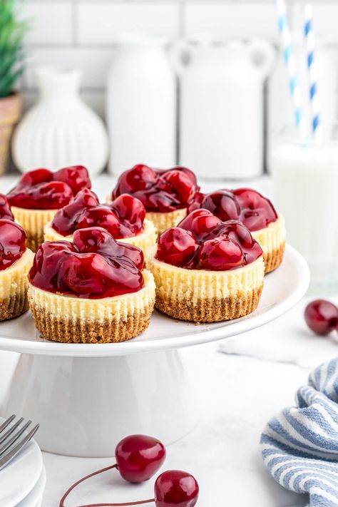 Mini Cherry Cheesecakes - Dish 'n' the Kitchen Mini Cheesecake Cupcakes, Mini No Bake Cheesecake, Mini Cherry Cheesecakes, Cheese Cupcake, Cherry Cheesecake Recipe, Desert Bar, Sweat Treats, Dinner Party Desserts, Parfait Desserts