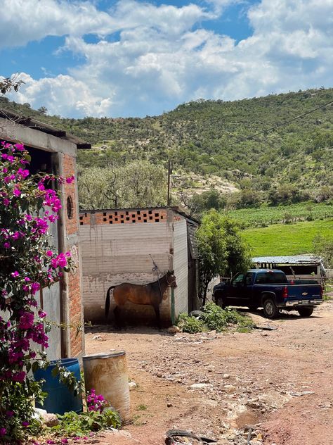 Mexico Cowboy Aesthetic, Mexican Pueblo Aesthetic, Ranch In Mexico, Mexican Neighborhood Aesthetic, Mexican Country Aesthetic, Mexican Hacienda Aesthetic, El Rancho Aesthetic, Mexican Cleaning Aesthetic, Mexico Life Aesthetic