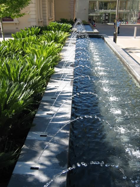 TCL Adelaide State Library Forecourt Fountain North Terrace South Australia Carlo Missio Entrance Landscape, Tropical Planting, Landscaping Water Feature, Water Fountain Design, Water Architecture, Fountain Garden, Modern Fountain, Water Body, Pool Water Features