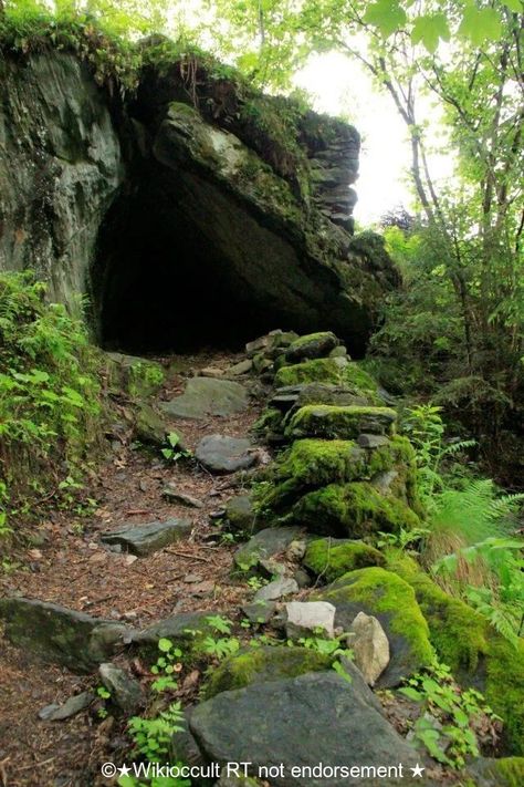 Step into the magickal cave if you dare #abandoned #abandonedspaces #building #rtitbot #robloxdev #art #rtArtBoost #RYUJIN #urbexphotography #grimelords #urbex Forest Cave, Warrior Cats Clans, Gnome Village, Cave Entrance, Fantasy Forest, Warrior Cat, Ancient Ruins, Environment Concept Art, Warrior Cats