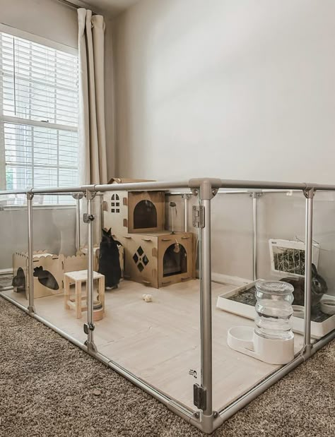 Rabbit Housing Indoor, Bunny Pens Indoor, Cute Bunny Set Up, Rabbit Incloser Indoors, Rabbit Set Up Indoor Aesthetic, Aesthetic Rabbit Enclosure, Rabbit X Pen Setup, Indoor Bunny House Ideas, Bunny Play Pen Ideas