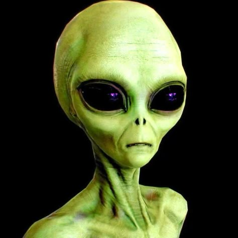 They are here. . They are here to get you. . We are not alone. Aliens Aesthetic, Realistic Alien, Grey Aliens, Alien Pictures, Ufos Are Real, Alien Photos, Ufo Art, Alien Drawings, Alien Encounters