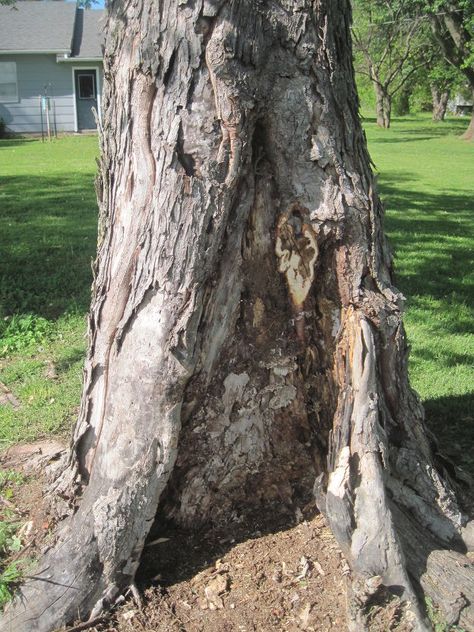 Diy Fairy Door, Door Pattern, Fairy Doors On Trees, Fairy Garden Doors, Fairy Tree Houses, Garden Globes, Fairy Garden Crafts, Fairy Tree, Fairy Garden Houses