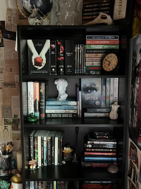 Dark Bookshelves, Bookshelves Aesthetic, Black Bookshelves, Book Bedroom, Bookshelf Inspo, Black Bookshelf, Dark Academia Room, Bookshelf Aesthetic, Bookshelf Inspiration